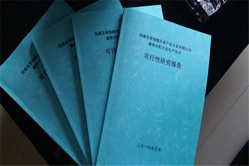 項(xiàng)目建議書